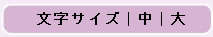 文字サイズ